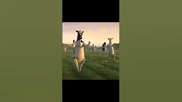 صوت صفير البلبل تابعوني تيك توك Arc7m 