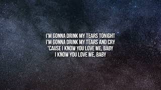 Lady Gaga - Government Hooker (Lyrics) 