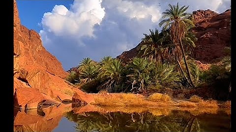 تلاوة نجدية عذبة بصوت القارئ سعيد بن عبدالله الخطيب