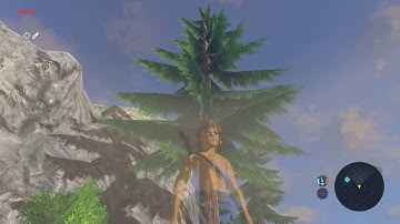 The Legend of Zelda: Breath of the Wild - Cemu 1.15.2 emulation test