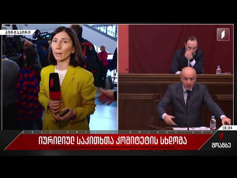 იურიდიულ საკითხთა კომიტეტის სხდომა