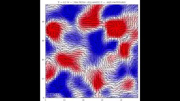2D XY Ising Model on a 50x50 Lattice (sample)