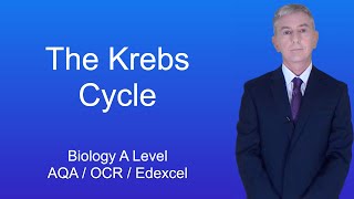 A Level Biology Revision "The Krebs Cycle"