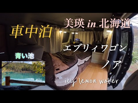 北海道美瑛町　車2台で車中泊して「青い池」に行く【グルメ】ハムの美味しいレストランと車中飯紹介　美瑛神社で桜🌸を見た【エブリィワゴン＆ノア車内紹介】
