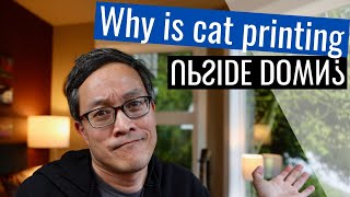 Celebrity Can HACKING Linux cat make me a better programmer? Wealth