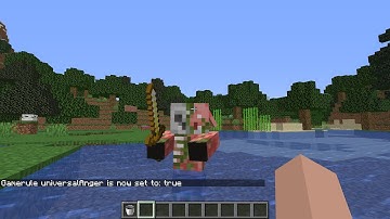 Minecraft 1.16  Pre-Release 1