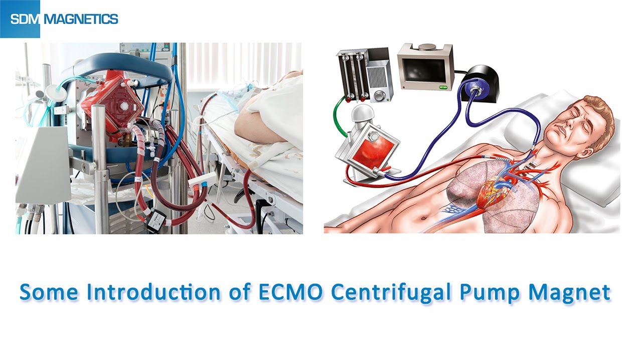 Some Introduction of ECMO Centrifugal Pump YouTube