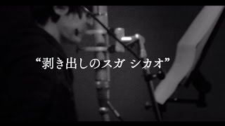 スガシカオ「THE LAST」全貌明らかに、限定盤に「THE BEST」付属
