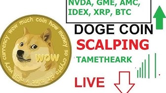 Should we buy dogecoin today