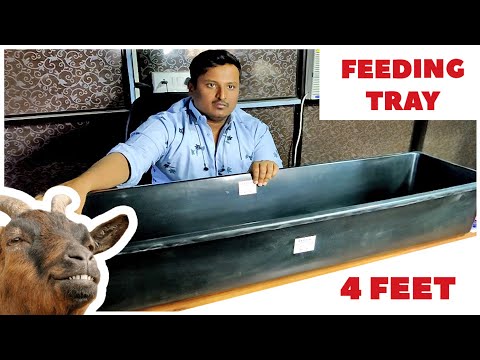 Goat Feeder / Feeding Tray for Farming | P&S Goat Feed