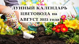 ПОСЕВНОЙ ЛУННЫЙ КАЛЕНДАРЬ ЦВЕТОВОДА на АВГУСТ 2023┃#луна #календарь #август #2023 #сад #удача #топ