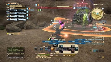 FINAL FANTASY XIV: A Realm Reborn - Hero on the Halfshell