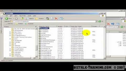BizTalk 2006/R2 - 08-06 Calling C# DLLs, A simple Trace Utility - 2 of 2