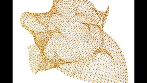 Wrapping effect on a lattice by applying a random rewiring dynamic.