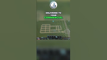 The BEST Zoning Setup For Cities Skylines Beginners