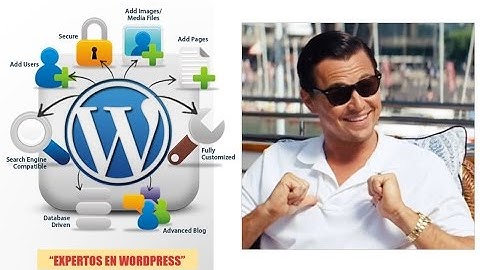 Curso AdSense - PASO 6 - Configurar THEME y PLUGINS de WordPress