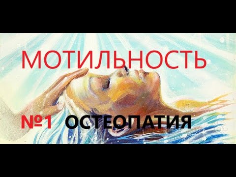 Остеопатия. Иной взгляд на мотильность. ч.1. - YouTube