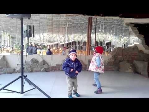 ვარდნა ხეობა