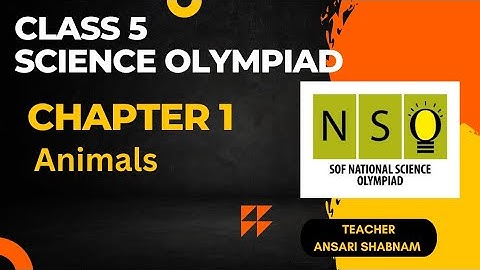 CLASS 5 NSO | Science Olympiad chapter 1 Animals