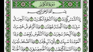 سورة التكوير - القارئ هاني الرفاعي