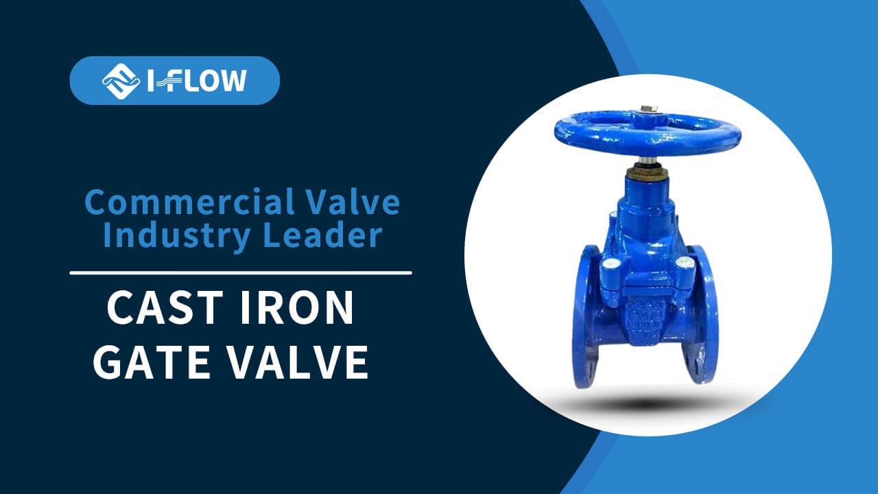 Introduce I-Flow Cast Iron Gate Valve