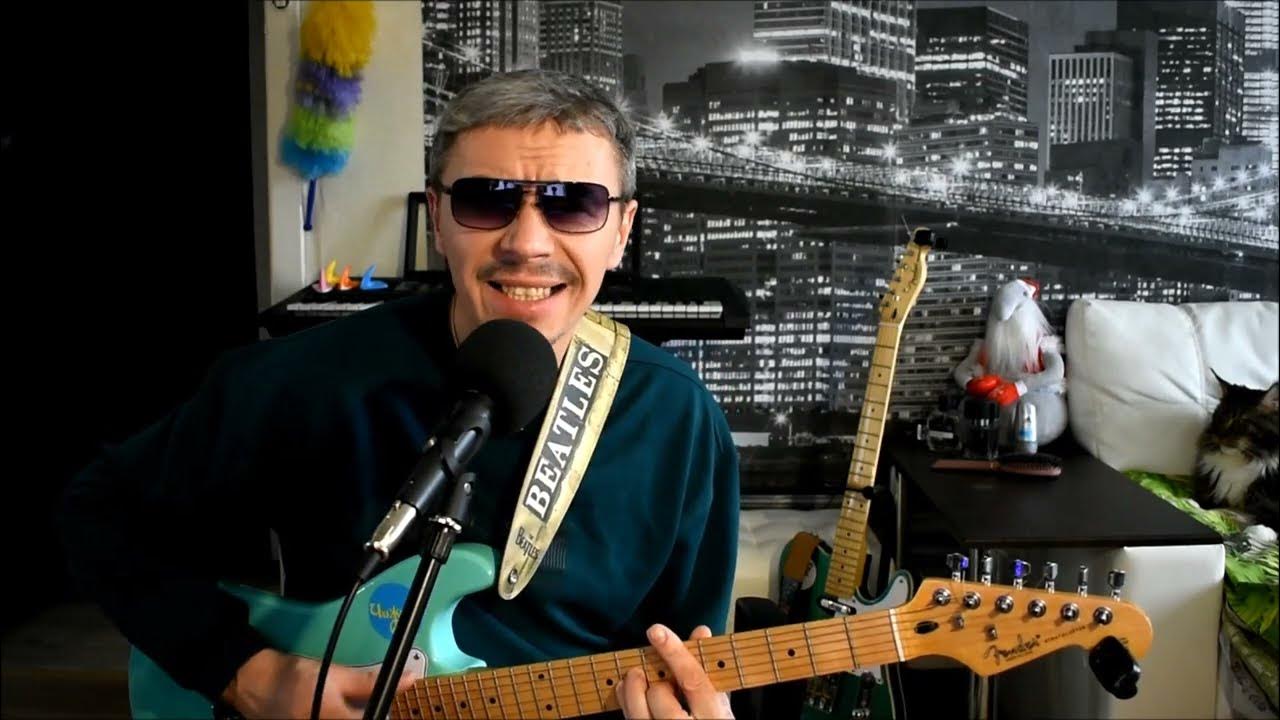 тигры боярский сели