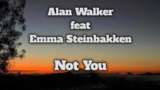 Alan Walker ft Emma Steinbakken - Not You (Lyrics)