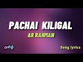 Pachai kiligal tholodu  indian  ar rahman  song lyricsin tamil