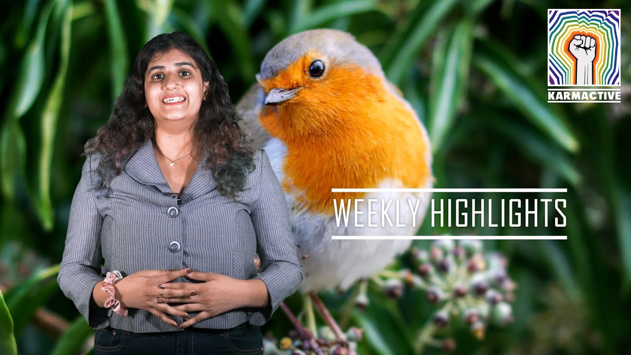 African Coastal Nations Exposed To Climate Crisis, Patagonia Nature Conservation & More-Weekly News