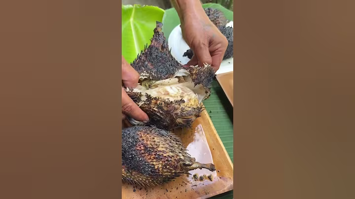 EPIC Catch & Cook: Grilling 4 FRESH Fish Over Open Fire! 🐟🔥 (From River to Plate!)