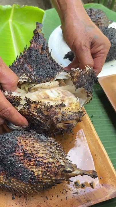 EPIC Catch & Cook: Grilling 4 FRESH Fish Over Open Fire! 🐟🔥 (From River to Plate!)