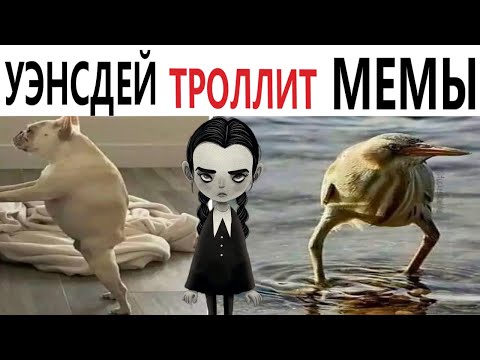 Видео: ПРИКОЛЫ! УЭНСДЕЙ ТРОЛЛИТ МЕМЫ!!! Угарные МЕМЫ, смешные истории от Доми шоу!