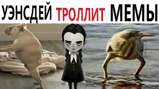 Приколы! Уэнсдей Троллит Мемы!!! Угарные Мемы, Смешные Истории От Доми Шоу!