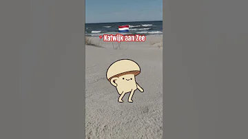 ???? The Amsterdam Mushroom ????? | In Katwijk aan Zee ??