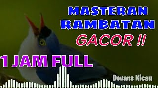 Masteran Rambatan GACOR √ || FULL 1 JAM ❗