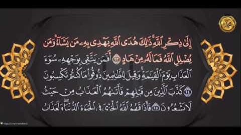 {سورةُ- الزمر-مكيَّةٌ}الشيخ عبدالباسط عبدالصمد {صفحة ٤٦١}من الأية(٢٢)إلى الأية( ٣١)