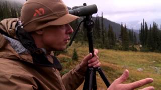 Steven Rinella Wants a Grizzly Bear - MeatEater