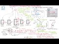 Action potential fast  slow response ionic mechanism phases  ccb  chf  medicine  heart series 3