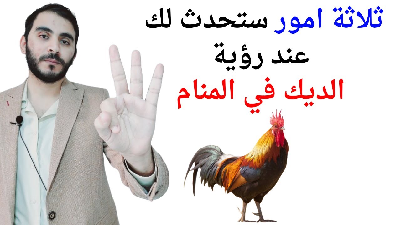 ثلاثة امور ستحدث لك عند رؤية الديك في المنام l تفسير حلم رؤيا الديك في المنام بالتفصيل