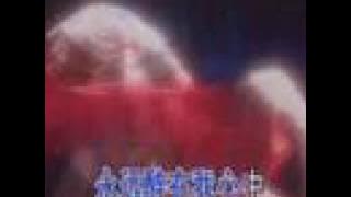 九九女儿红 - 陈少华