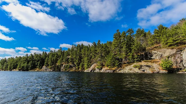 Lake Joseph Waterfront Lots - Mark Schmalz