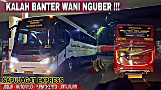 Download Lagu SAMPAI LEBIH CEPAT DARI REGULER‼️Sapujagat Express Kalah Banter Wani Nguber MP3 Download Lagu SAMPAI LEBIH CEPAT DARI REGULER‼️Sapujagat Express Kalah Banter Wani Nguber MP3