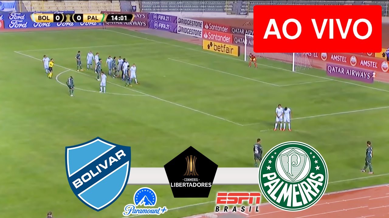 Palmeiras x Bolívar: veja como assistir ao jogo ao vivo pela TV