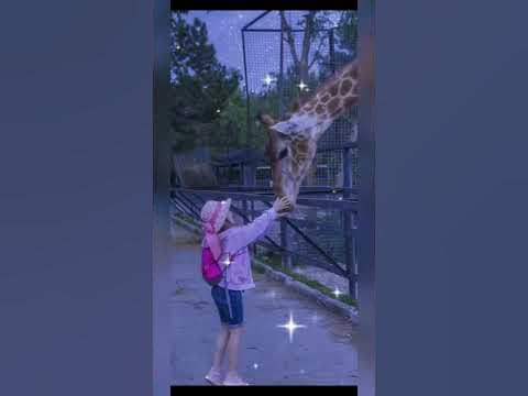 Варвара Гордеева - YouTube