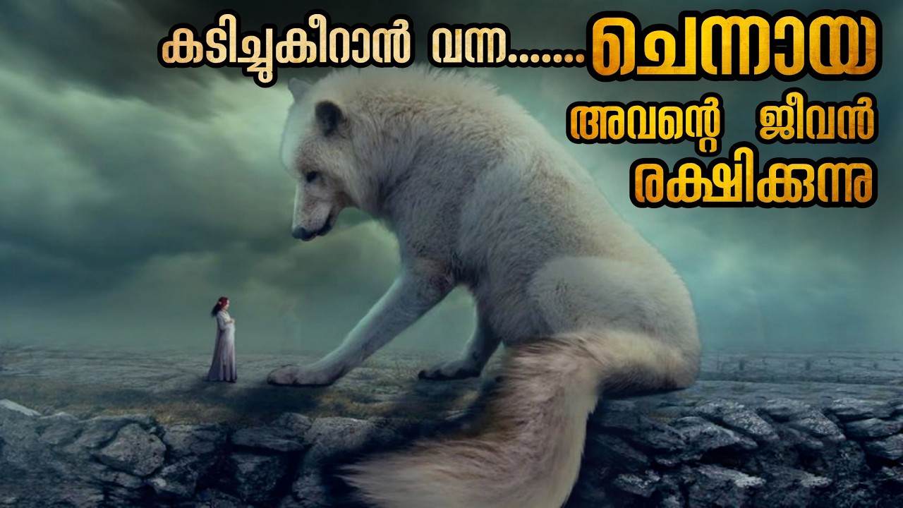 Охота на буйвола и падение в глубокую яму 