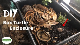 CHEAP DIY Box Turtle Enclosure