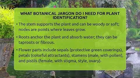 What Botanical Jargon Do I Need For Plant Identification? - The Plant Enthusiast