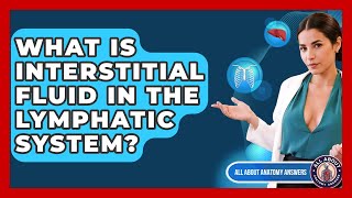 What Is Interstitial Fluid In The Lymphatic System? - All About Anatomy Answers