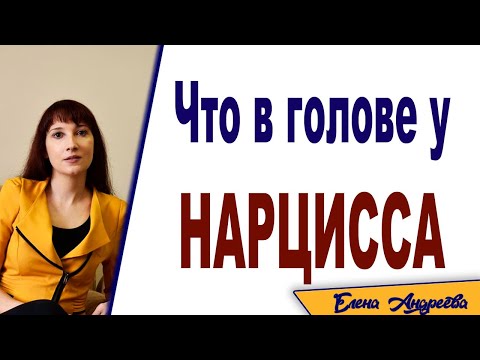 Что в голове у нарцисса?