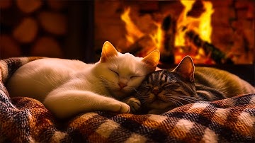 🔥Whispers of Winter 🐾 Cats, Firelight & Calm Nighttime Comfort Sounds for Better Dream, Sleeping